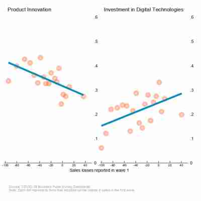 Product innovation vs. investment in digital technologies