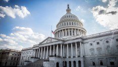 The populist backlash in Chapter 11 5 capitol building